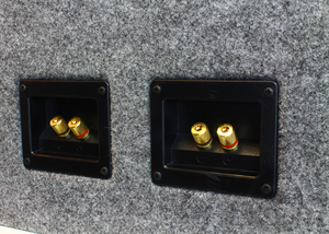 Ported Dual 10