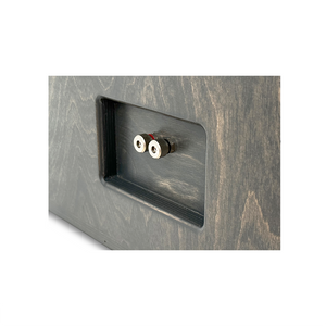 American Bass Dual 10