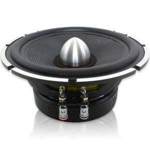 **Package Deal**I 2 Sets of Evil Mid's and Tweeters w/ DM100.4 Amplifier