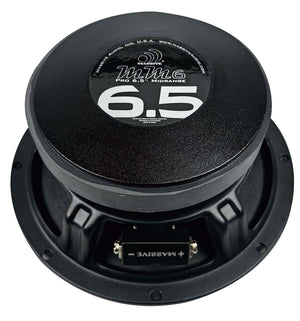 MM6 - 6.5